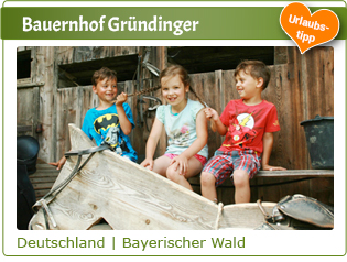 Bauernhof Gründinger - Bayerischer Wald